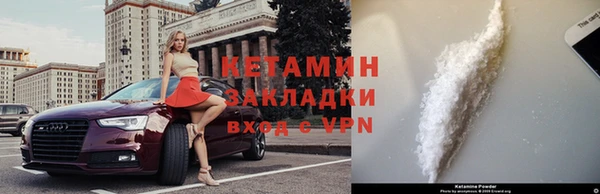 крисы Алексин