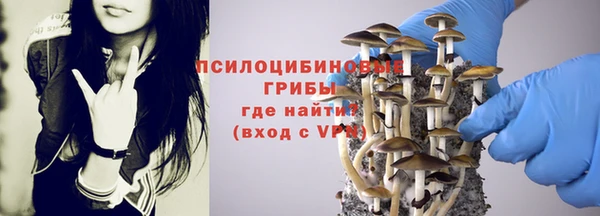 дживик Алексеевка