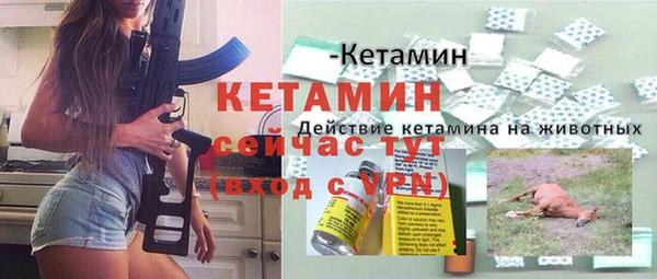 крисы Алексин