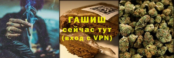 прущие грибы Алзамай