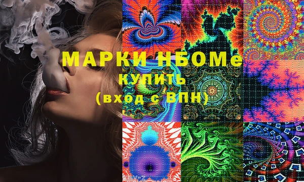 прущие грибы Алзамай
