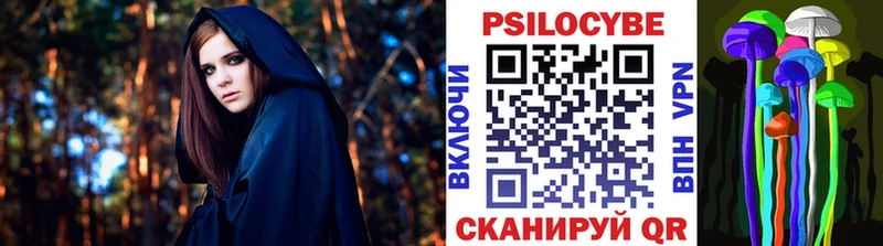 магазин продажи   Ижевск  Псилоцибиновые грибы Cubensis 