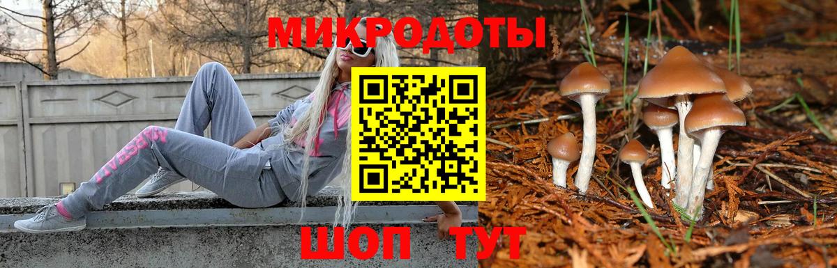 купить   Вход с VPN  Ижевск  Галлюциногенные грибы Psilocybine cubensis 